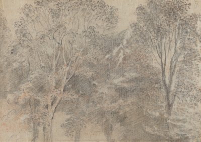 Copas de Árboles de Antoine Watteau