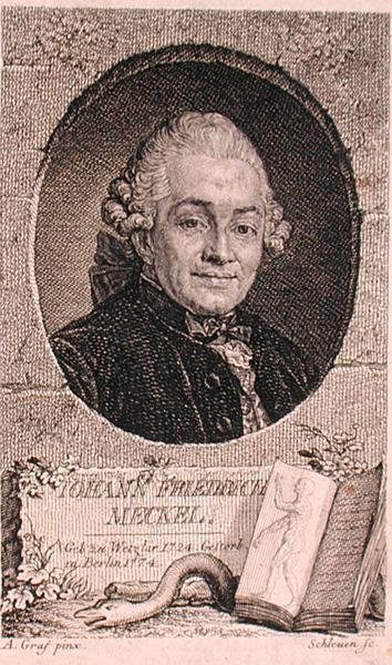 Retrato de Johann Friedrich Meckel (1724-76) grabado por John Schleuen (fl.1740-74) de Anton (after) Graff