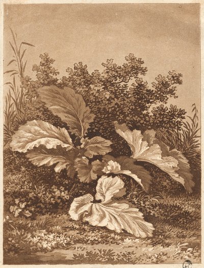 Estudio de hojas, c. 1800 de Anton Balzer
