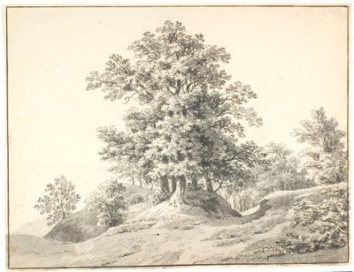 Paisaje con grandes árboles en el Elba. Buxtehude de Anton Carl Dusch