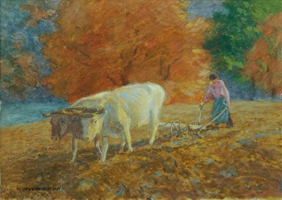 Hierbas de Anton Hans Karlinsky