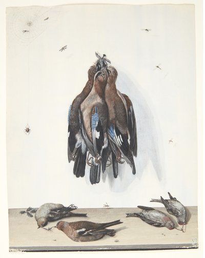 Naturaleza muerta con pájaros de Anton Ignaz Hamilton