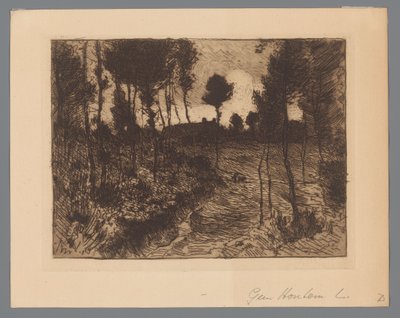 Carretera forestal de noche de Anton L. Koster