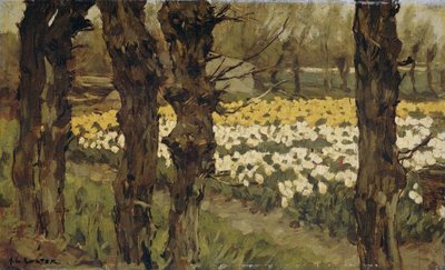 Campos de tulipanes de Anton L. Koster