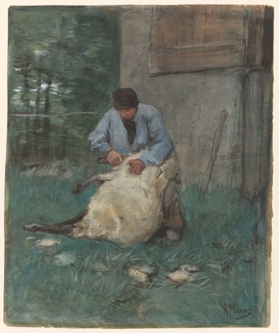 Esquilador de ovejas de Anton Mauve