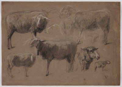 Estudios de ovejas de Anton Mauve