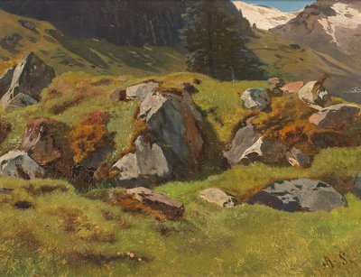 Estudio de rocas en Ferleiten de Anton Schrodl