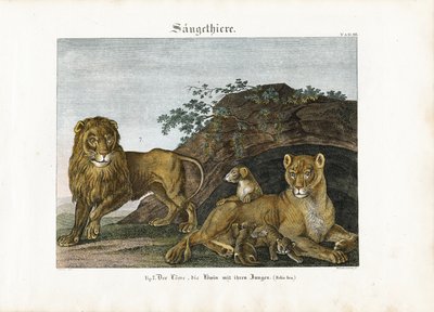  de Anton Wachsmann
