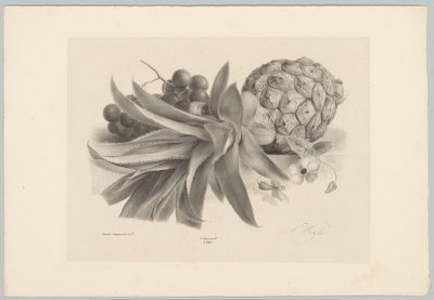 Piña y uvas Estudios de flores y frutas (...) Décimo episodio (título de la serie) de Anton Weiss