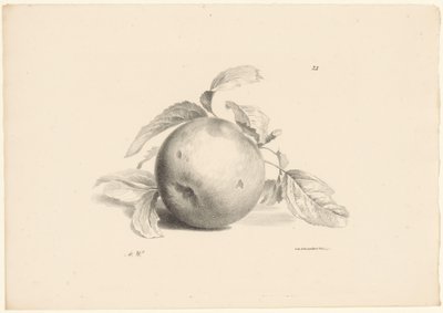 Appel
Fruta (título de la serie) de Anton Weiss