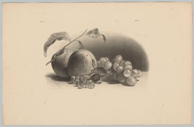Manzanas, bayas, moras y uvas
Estudios sobre flores y frutas (...) 3ª entrega (título de la serie) de Anton Weiss