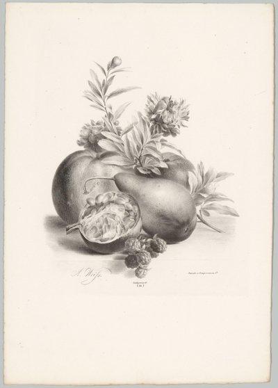 Flores, manzanas, peras, granadas y moras Estudios de flores y frutas (...) Décimo episodio (título de la serie) de Anton Weiss