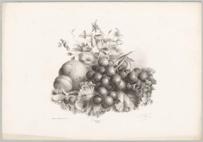 Flores, melocotón, nectarina, uvas y moras Estudios de flores y frutas (...) Décimo episodio (título de la serie) de Anton Weiss