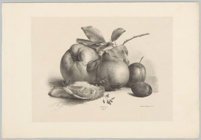Frutas, ciruelas y ostras Estudios de flores y frutas (...) Décimo episodio (título de la serie) de Anton Weiss