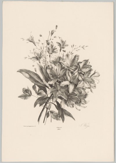 lirios Estudios de flores y frutas (...) Décimo episodio (título de la serie) de Anton Weiss