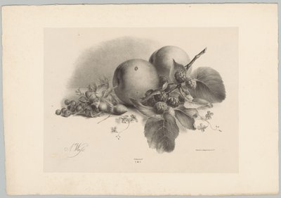 Melocotones, bayas, avellanas y moras Estudios de flores y frutas (...) Décimo episodio (título de la serie) de Anton Weiss