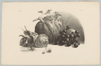 Calabaza, uvas, rosa y fresas
Flower and Fruit Studien (...) 3er episodio (título de la serie) de Anton Weiss
