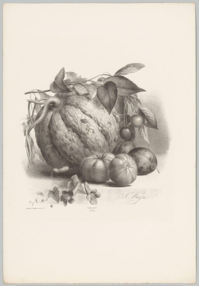 Calabaza, tomates y cerezas Estudios de flores y frutas (...) Décimo episodio (título de la serie) de Anton Weiss