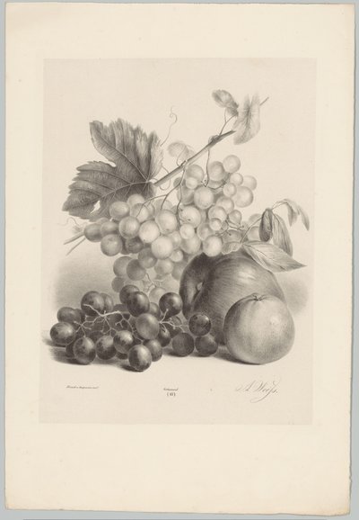 Uvas y manzanas rojas y blancas Estudios de flores y frutas (...) Décimo episodio (título de la serie) de Anton Weiss