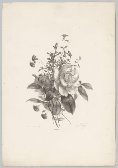 Rosas, claveles y fucsias Estudios de flores y frutas (...) Décimo episodio (título de la serie) de Anton Weiss