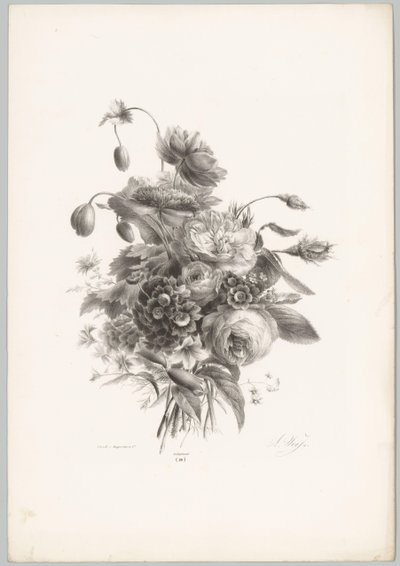 rosas y otras flores Estudios de flores y frutas (...) Décimo episodio (título de la serie) de Anton Weiss
