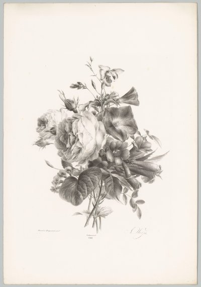 Rosas y flores en forma de cáliz Estudios de flores y frutas (...) Décimo episodio (título de la serie) de Anton Weiss