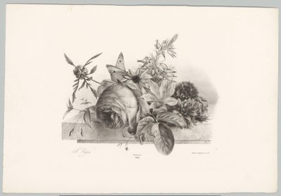 Rosas, lirios, flores acampanadas y mariposa Estudios de flores y frutas (...) Décimo episodio (título de la serie) de Anton Weiss