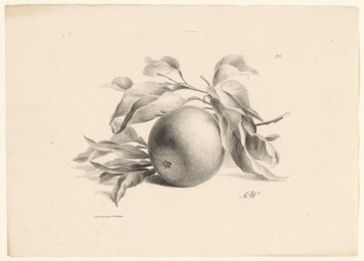 Sinaasappel
Fruta (título de la serie) de Anton Weiss