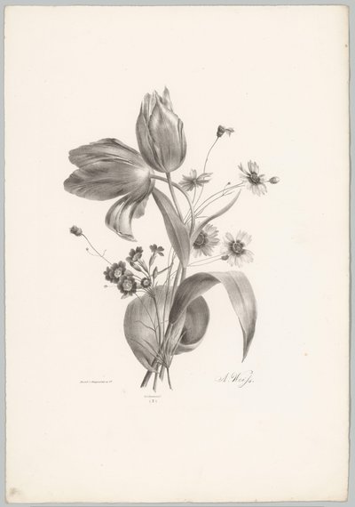 tulipanes y margaritas Estudios de flores y frutas (...) Décimo episodio (título de la serie) de Anton Weiss