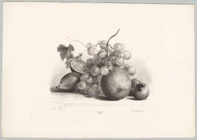 Higos, uvas y naranja Estudios de flores y frutas (...) Décimo episodio (título de la serie) de Anton Weiss