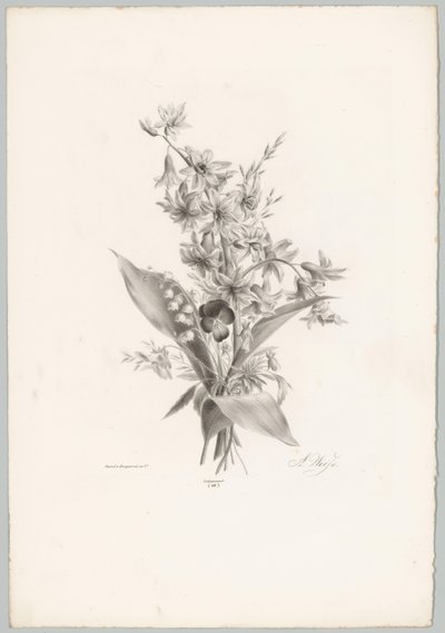 Pensamiento y jacinto y flores en forma de campana Estudios de flores y frutas (...) Décimo episodio (título de la serie) de Anton Weiss