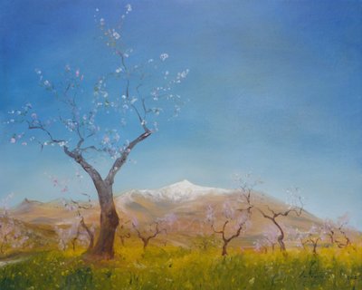 Flor de almendro con Sierra Nevada nevada, 2016 de Antonia Myatt