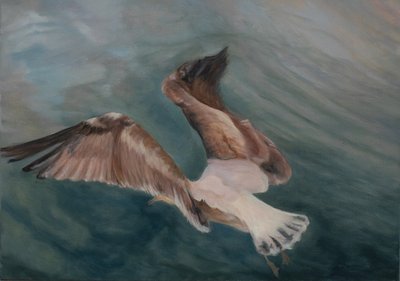 Gaviota entrando en tierra, 2012 (óleo sobre lienzo) de Antonia Myatt