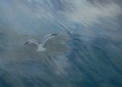 Gaviota volando, 2012 (óleo sobre lienzo) de Antonia Myatt