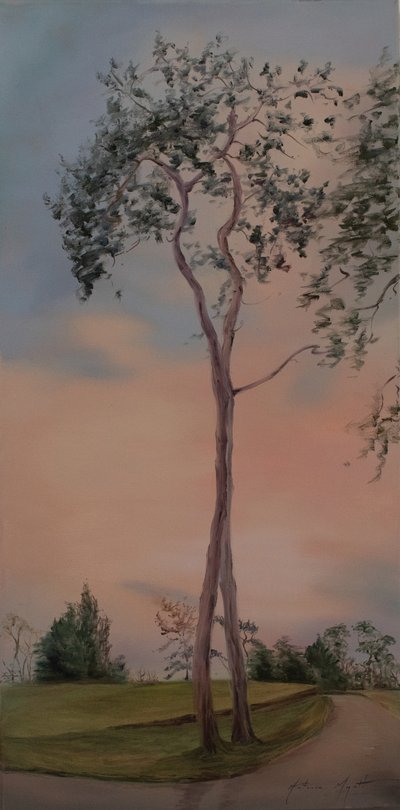 Árboles de Tapeley Park, 2013 (óleo sobre lienzo) de Antonia Myatt