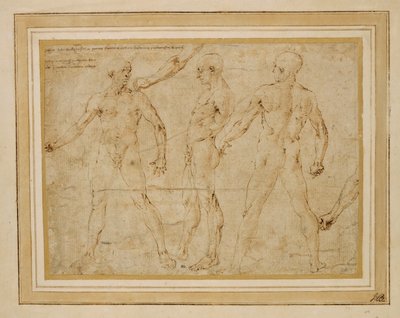 Tres desnudos masculinos, de frente, de espaldas y de perfil; ... de Antonio (attr. to) Pollaiuolo