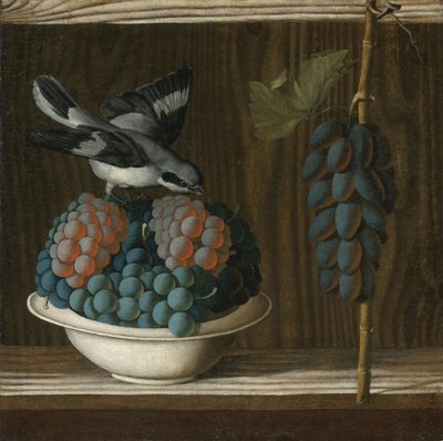 Naturaleza muerta con uvas y un alcaudón gris (alegoría de la pintura) de Antonio (fl.1478 1513) Leonelli