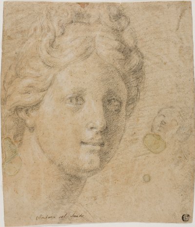 Cabeza de una mujer de Antonio Balestra