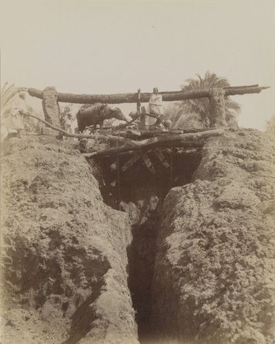 Sehaquieh, Egipto de Antonio Beato