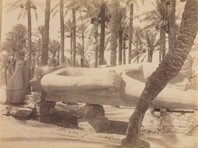 Estatua de Ramsés en Saqqara, c. 1870s - 1880s de Antonio Beato