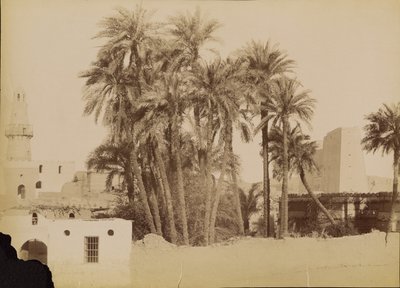[Pueblo y Pilón de Edfu] / [Village et Pylone d
