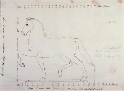 Estudio para un caballo para un monumento ecuestre (dibujo) de Antonio Canova