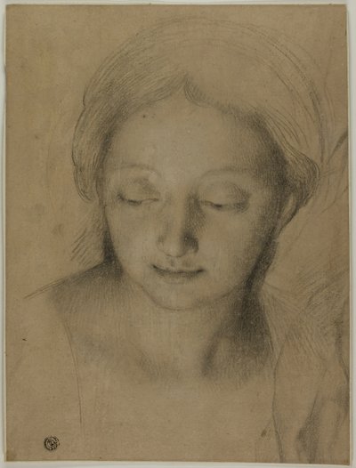 Cabeza de mujer de Antonio Cavallucci
