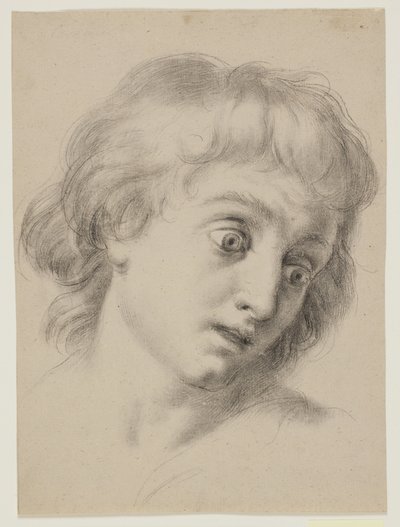 Cabeza de un niño de Antonio Cavallucci