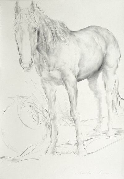 Caballo en Coolmore, 1990 de Antonio Ciccone