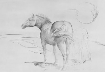 Caballos en Coolmore, 1990 de Antonio Ciccone