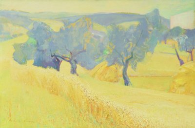 Olivos en la Toscana, 1966 de Antonio Ciccone