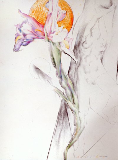 Imagen Desconocida de Antonio Ciccone