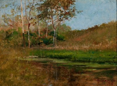 Agua Tranquila de Antonio Parreiras