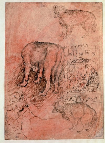 Estudios de perros. Episodio áulico. Dibujo de Antonio Pisano dit il Pisanello (1380-1455) de Antonio Pisanello